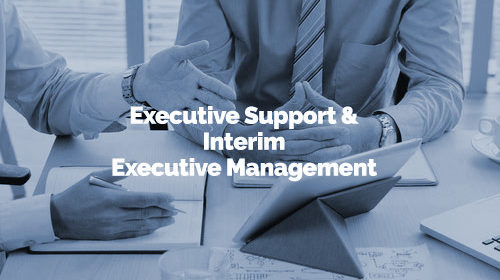 Executive Support & Interim Executive Management