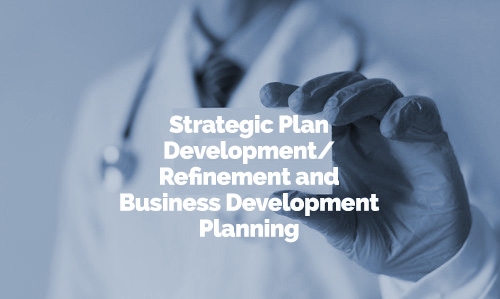 Strategic Plan Development/Refinement and Business Development Planning